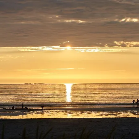 Lofoten Camp Camping *